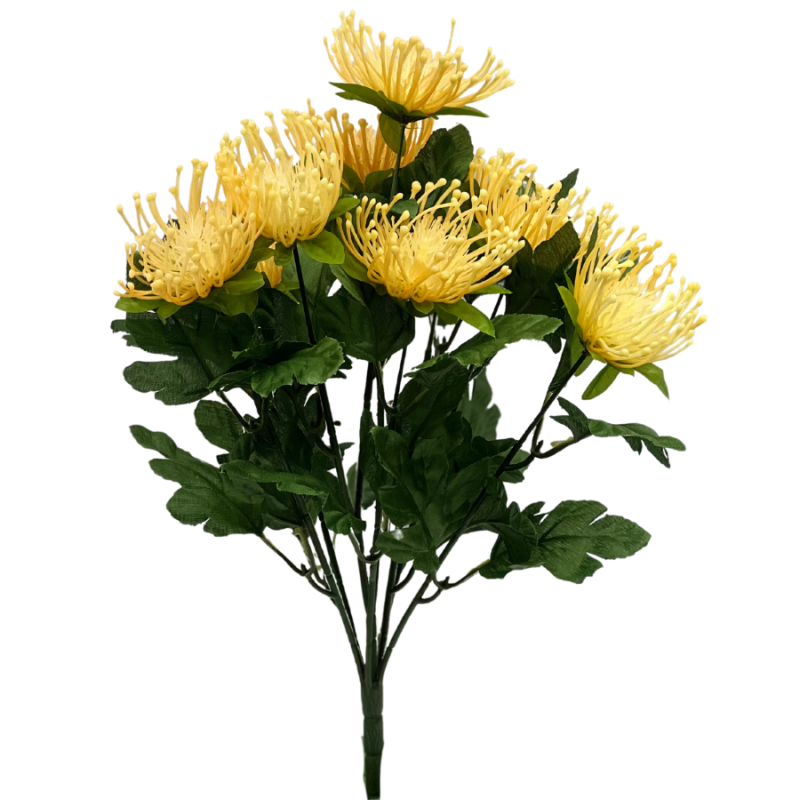 Pincushion Flower- Yellow