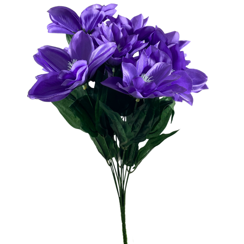 20" Clematis Bush - Purple