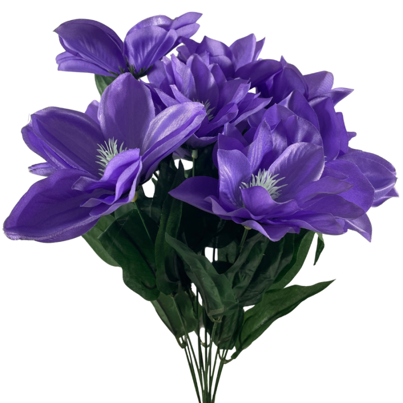 20" Clematis Bush - Purple