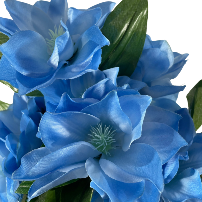 20" Clematis Bush - Blue