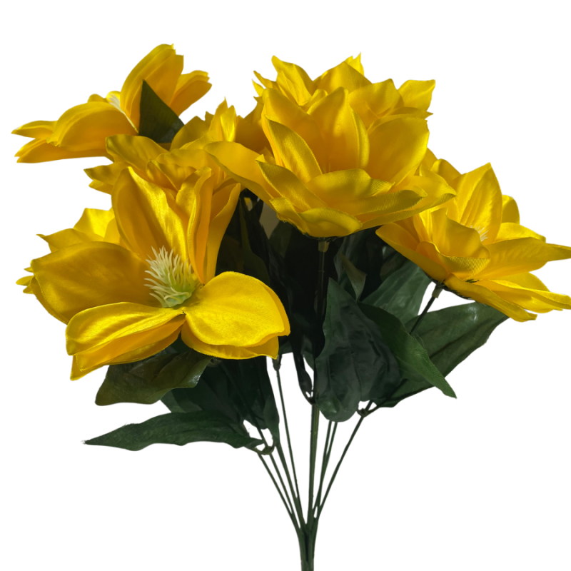 20" Clematis Bush - Yellow
