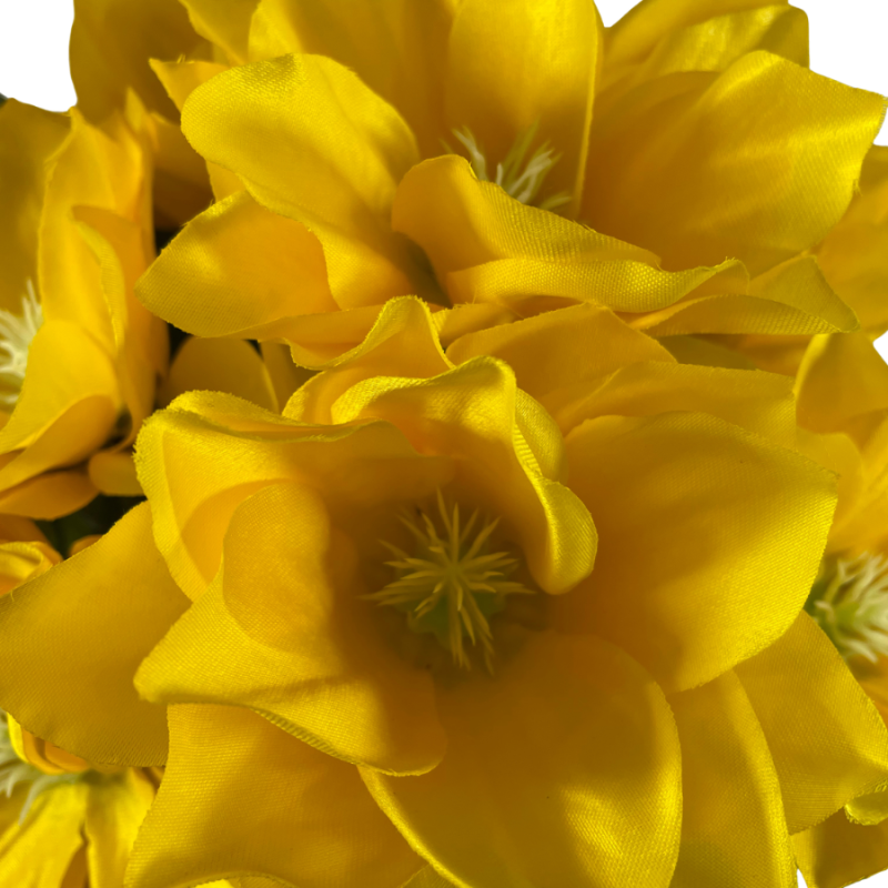 20" Clematis Bush - Yellow
