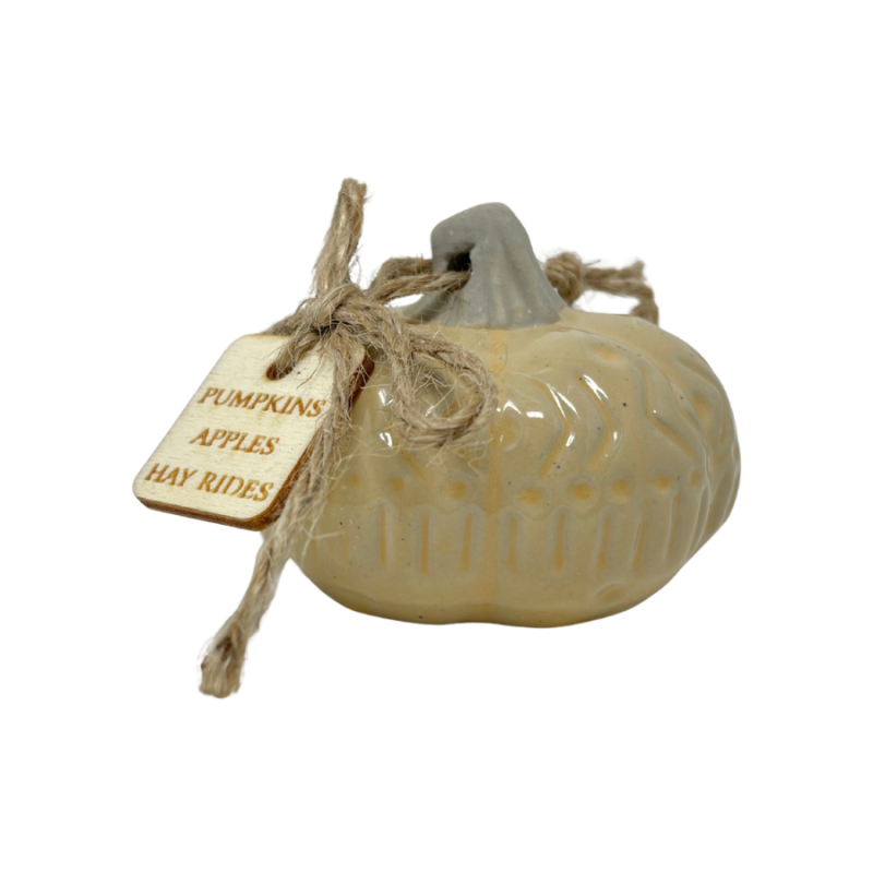 3" Ceramic Rustic Pumpkin w/ Tag - Pumpkins, Apples, Hay Rides