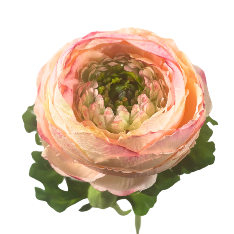 13" Ranunculus Spray - Pink/Cream