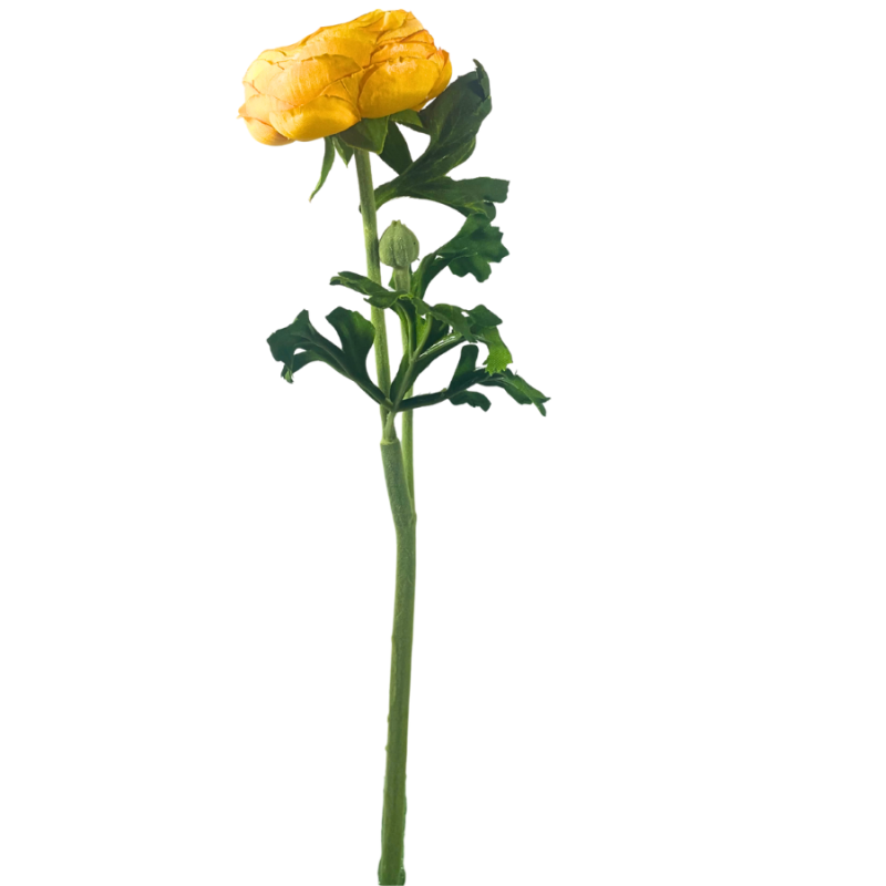 13" Ranunculus Spray - Yellow