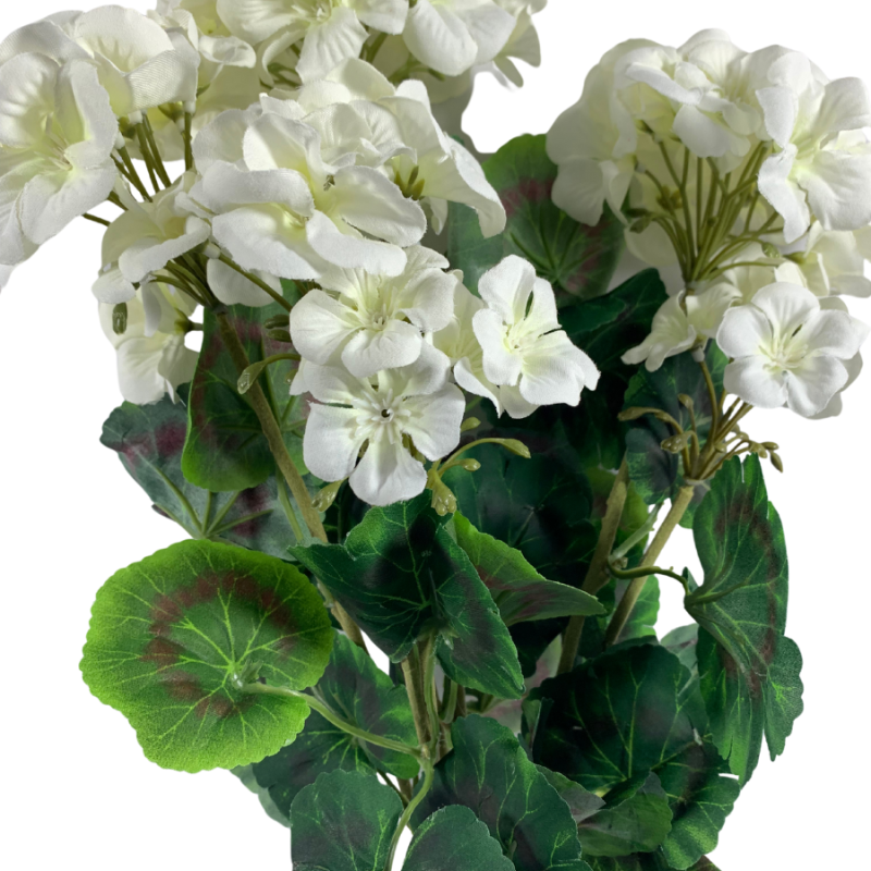 20" White Geranium Bush