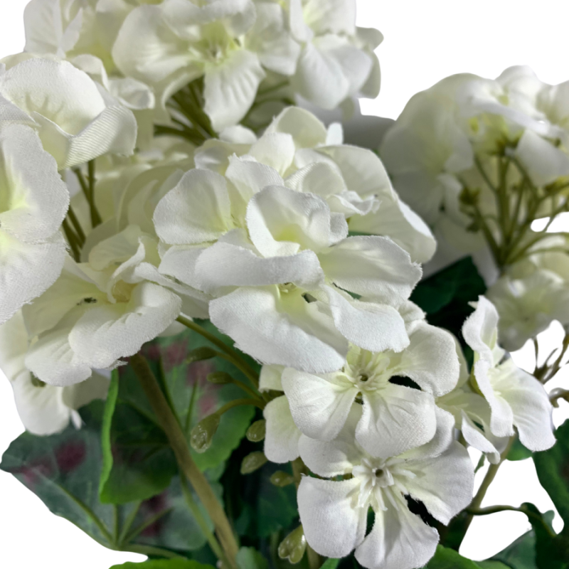 20" White Geranium Bush