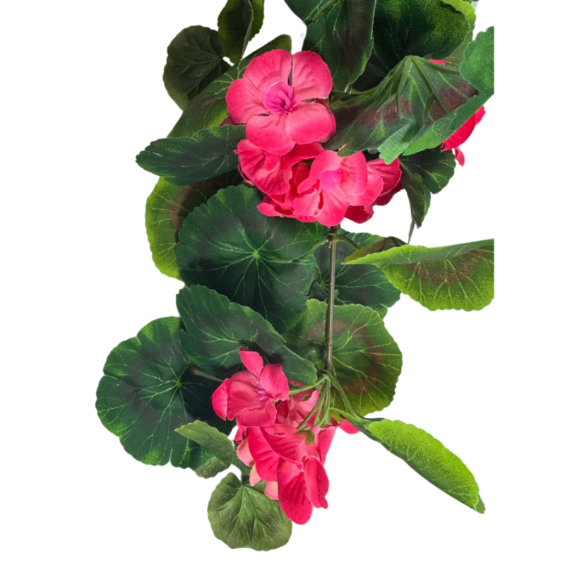 32" Hanging Geranium- Hot Pink