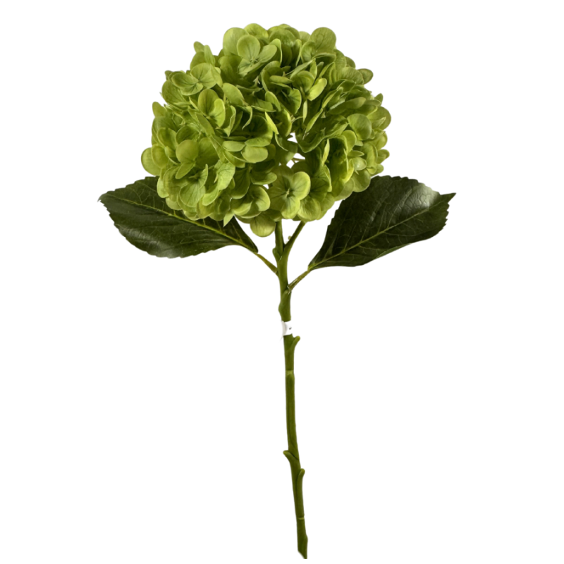 18" Hydrangea Stem- Apple Green