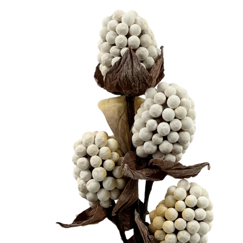 18" Autumn Pod Berry Spray- Cream