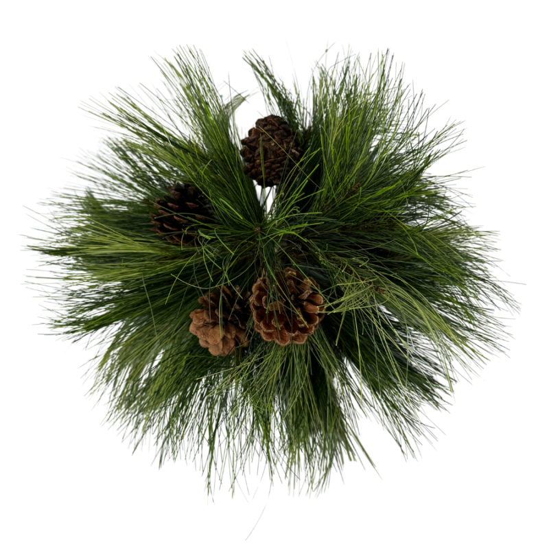Long Needle Pine Orb with Cones
