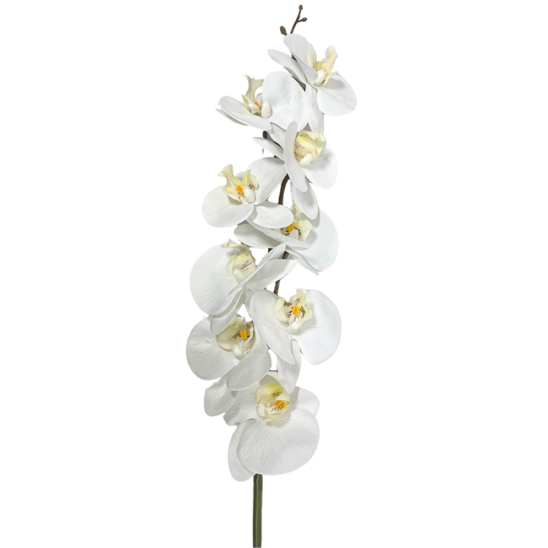 38" Real Touch Phalaenopsis Orchid - Cream