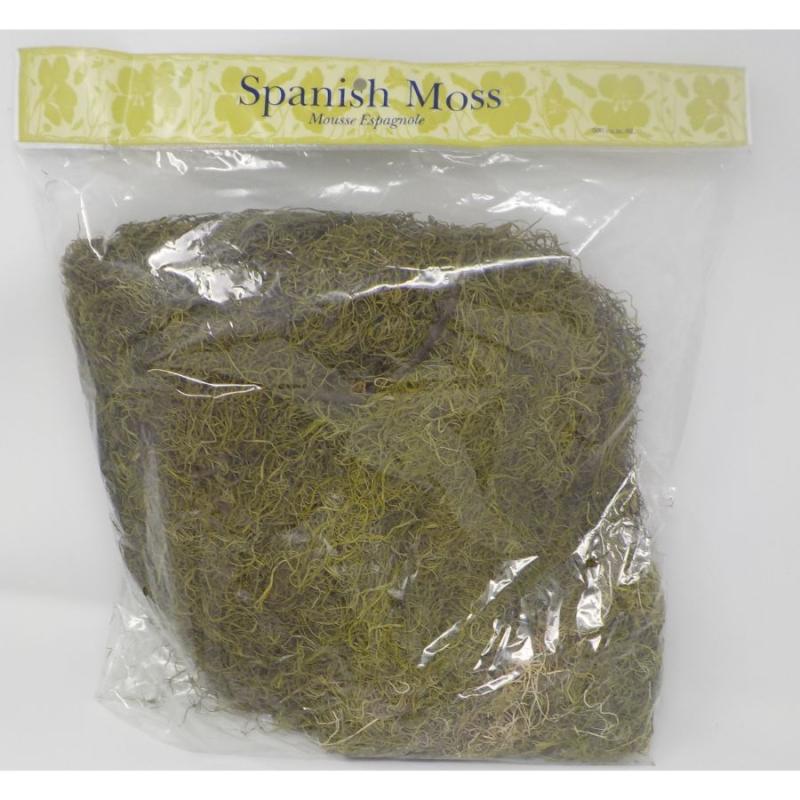 Spanish MossGreen Dyed 16oz Floral Craft Supplies