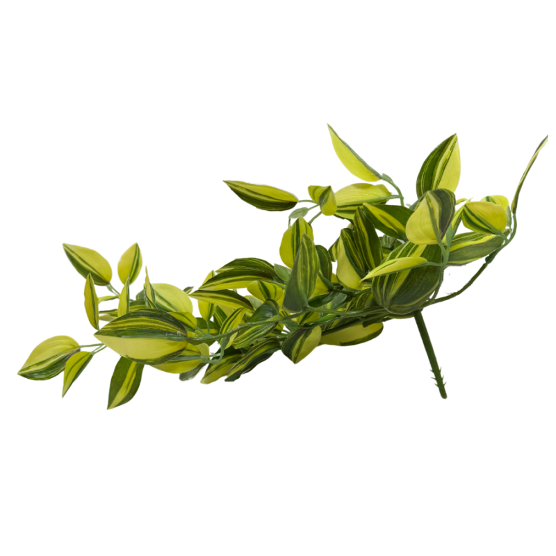 16" Wandering Jew Hanging Bush