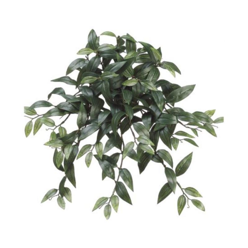 22.5" Ruscus Hanging Bush