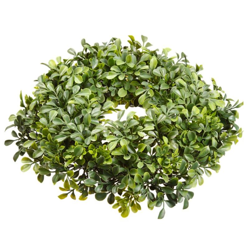 5.5" Boxwood Candle Ring Green (B)Wreaths Carolina Pottery