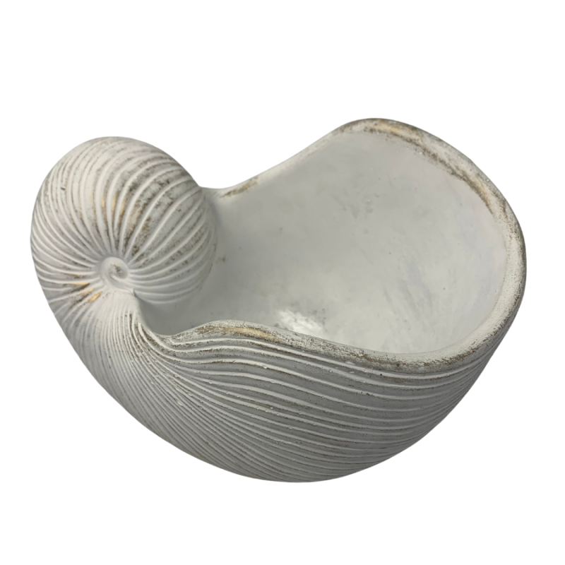Large Sea Shell Figurine