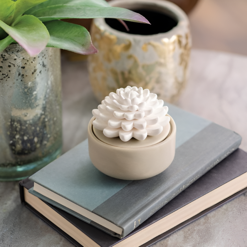 Porcelain Essential Oil Diffuser - Succulent