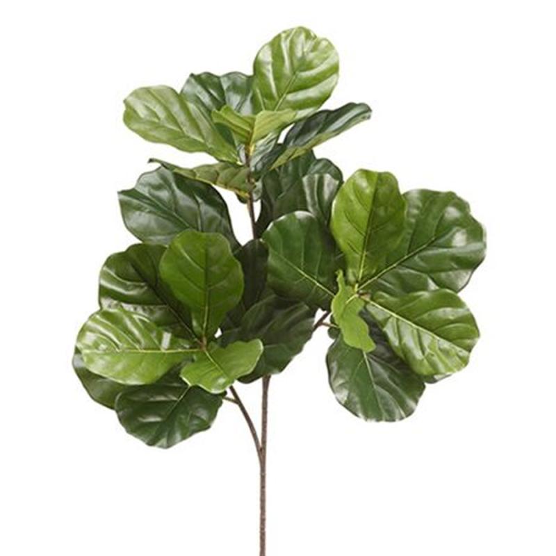 34" Fiddle Leaf Fig Branch - Green