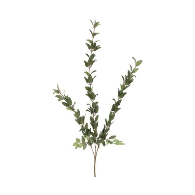 36" Huckleberry Spray