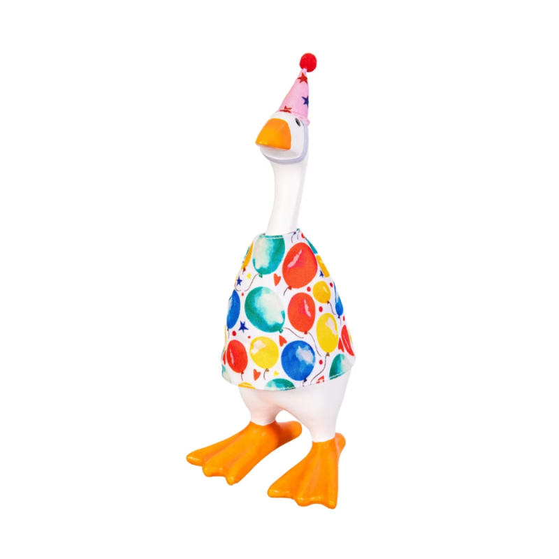 Gordy Goose Outfit - Birthday