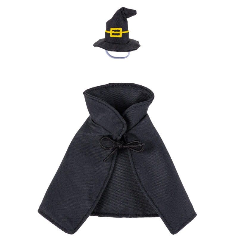 Gordy Goose Outfit - Witch