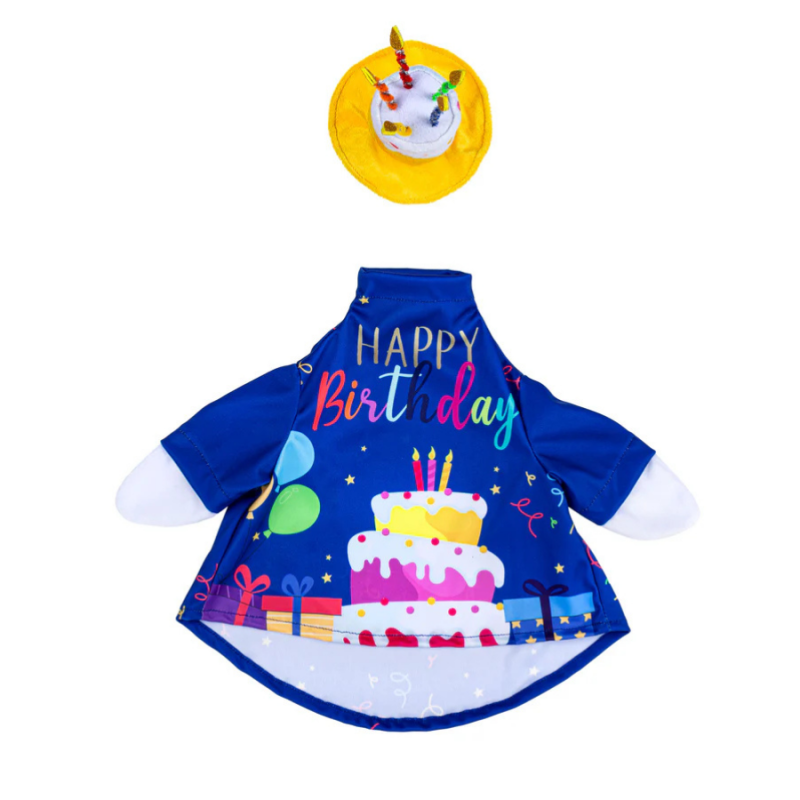 Porch Goose Outfit- Birthday Celebration