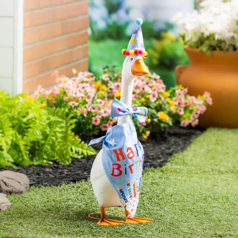 Porch Goose Outfit- Birthday Boy