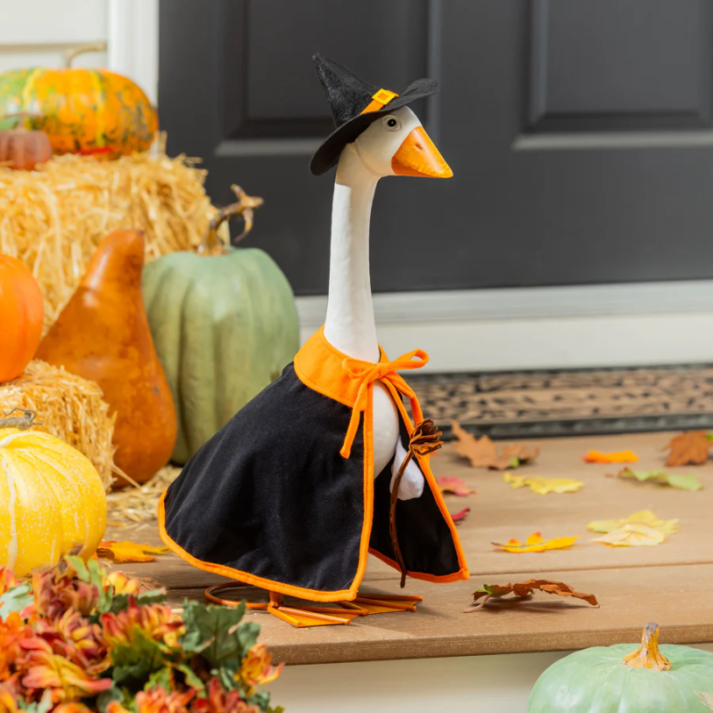 Porch Goose Outfit - Witch