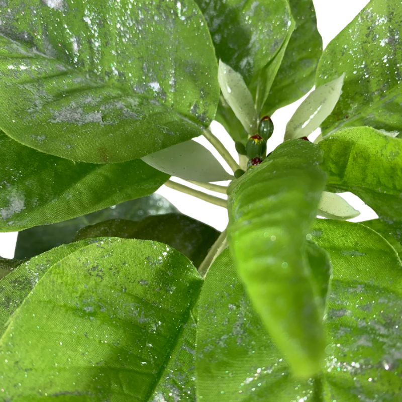 24" Glittered Poinsettia Spray